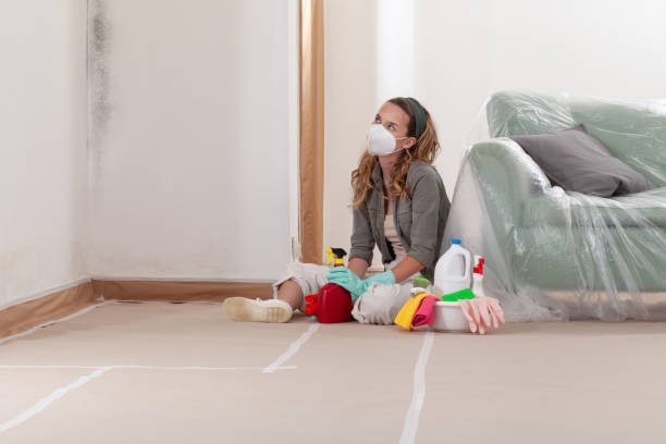 Reliable Mold Remediation contractor in Honey Grove, PA by WQB Mold Removal